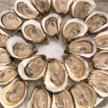 画像をギャラリービューアに読み込む, Live East Coast Premium Small Choice Oysters (PEI)
