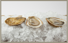 East Coast Oysters “Premium Cocktail”